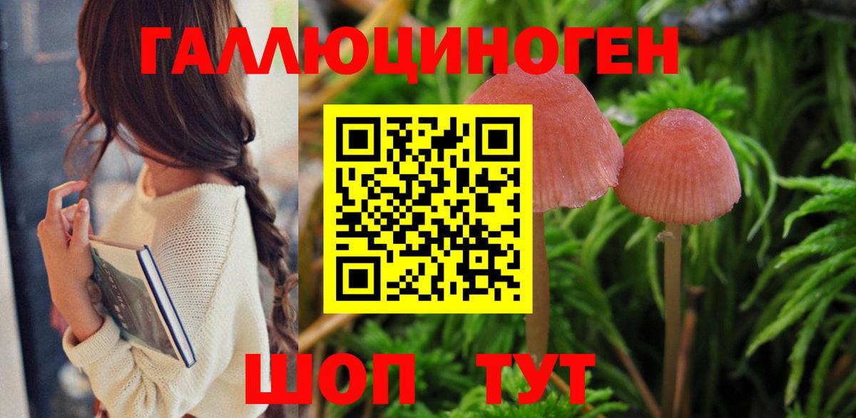 Тюмень  Псилоцибиновые грибы Magic Shrooms  где можно купить наркотик  Вход с VPN 